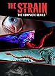 Strain: Complete Series [DVD] [Import]