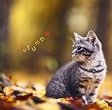 �܂邲��!�H -Autumn-