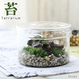 (観葉)苔Terrarium 小さなアルプス 説明書付 テラリウムキット 本州・四国限定[生体]