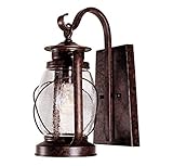 Savoy House 5-3410-56,Smith Mountain Wall Mount Lantern,New Tortoise Shell [並行輸入品]