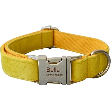 Amazon.co.jp 人気ギフトランキング: 犬用ベーシック首輪 で、ギフトの
