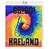 木村カエラ「KAELA presents GO!GO! KAELAND 2014 -10years anniversary-(Blu-ray 通常盤)」