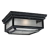 Feiss OL10613DWZ 2-Light Outdoor Flush Mount Light Fixture by Feiss