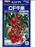 CF千果(1000粒) タキイ種苗のミニトマト種です