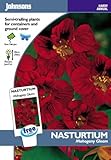 英国ミスターフォザーギルズシード＆ジョンソンシードNasturtium Mahogany Gleam ナスターチウム・マホガニー・グリーム