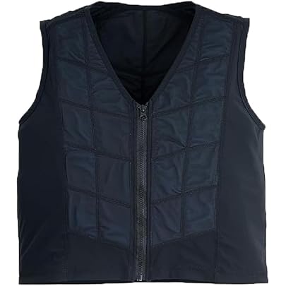 Amazon.co.jp: 気化熱式冷却ベスト クールガイエバポ ブラック Lサイズ