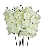 ファブリック人工花のセット6ホワイトOrchids Artificial Flower Stem Set 5 x 38 x 5インチオフホワイトモデル# f29357-crea