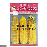 【種子】ゴールドラッシュ [1251]