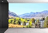 wall26 粘着式 Wall Muralシリーズ 壁紙 大型 100"x144" WMR-WP-X-CA29-100x24x6