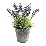 COVENT GARDEN ラベンダー ブリキポット S TG-25