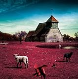 MERRY VERY BEST�`�����r/�����r�`