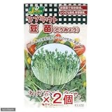 お買得セット スプラウトタネ 豆苗(とうみょう) KS100-753 カネコ種苗 お買得2袋入 家庭菜園