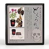 聖新陶芸 どくろ栽培セット