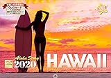 ハワイ Aloha Story 2020年 カレンダー 壁掛け SD-4 (使用サイズ594x...