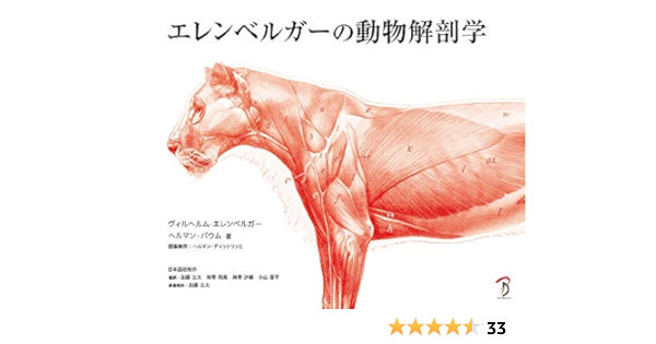 エレンベルガーの動物解剖学 ヴィルヘルム エレンベルガー 平谷 早苗 ヘルマン ディットリッヒ 加藤 公太 加藤 公太 姉帯 飛高 姉帯 沙織 小山 晋平 本 通販 Amazon