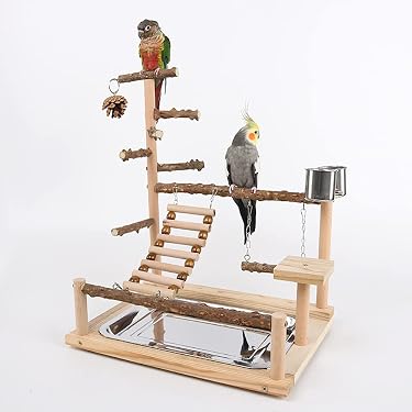 Amazon.co.jp ほしい物ランキング: 鳥用止まり木 で、ほしい物リストと