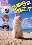 ちゅらねこ!! 沖縄の自由なねこたち