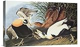 グローバルギャラリーEider Duck壁アート 22W x 13.9H in. グリーン GCS-197954-22-142