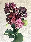 30 " Tall XLリアルタッチHydrangea Flower Stems人工Spring Flowers ( 3個) Hy03