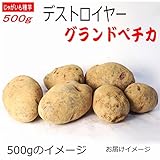 じゃがいも 種芋 デストロイヤー グランドペチカ 500g ジャガイモ