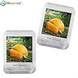 プロフェッショナルパッキング巨大カボチャの種、非常に重いアトランティックジャイアントパンプキンメロンの種オーガニック野菜の種 - 10個