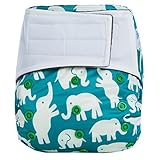 HappyEndings Night, NightTM All In One Charcoal Bamboo Hook Loop Closure Cloth Diaper (+Pocket and 5