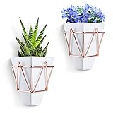 壁掛け植木鉢 プランター Love-KANKEI® 小物立て ハンギング 卓上置き 2種使い 壁飾り インテリア 小物収納 多肉植物 サボテン エアプランツ 2個セット