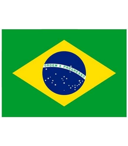 ●IZZO GOL パンデイロ 10インチ ブラジル製 国旗柄● 2026年最新】パンデイロの人気アイテム - メルカリ ○IZZO GOL