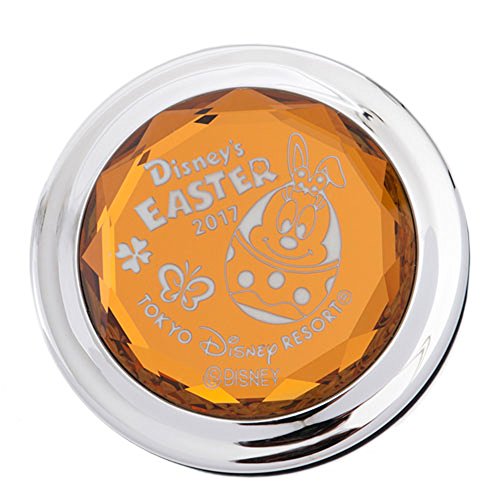 ディズニー ミラー 鏡 にっき にっき