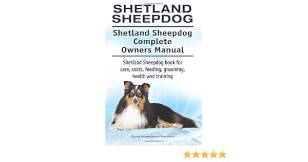 shetland sheepdog grooming