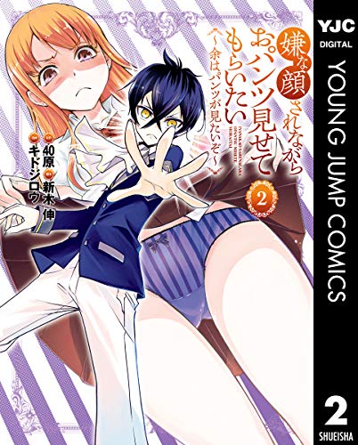 嫌な顔されながらおパンツ見せてもらいたい ～余はパンツが見たいぞ～ raw