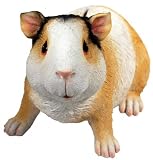 Guinea Pig Money Bank