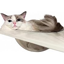 Amazon.co.jp: 【公式】 ieneko ねこの惑星 透明ボウル 猫 ケージ