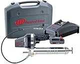 Ingersoll Rand LUB5130-K12 Grease Gun Kit [並行輸入品]