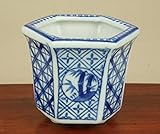 いよじ園 【盆栽鉢】 竹紋染付六角鉢【ミニクラス】 一辺：6.5cm　高：6.5cm