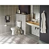 Franklin Brass D2424SN Futura 24' Towel Bar, Satin Nickel [並行輸入品]