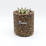 FLORASHOW 多肉植物　ミニ観葉　植木鉢　ガーデニング　各種天然宝石、瑪瑙、水晶、貝殻使用 防水、防腐、防虫、通気　呼吸できる鉢【6.5x9cm】 (タイガーアイ（虎眼石）)