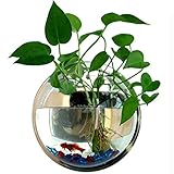 NOPTEG 壁掛け水槽 アクアリウム 観葉植物を入れて ストーン 水草 金魚鉢 花瓶 インテリア