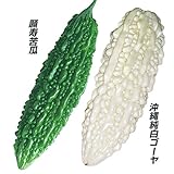 【メール便配送】　国華園　野菜たね　ゴーヤ　ほろにがゴーヤセット　2種2袋【※発送が国華園からの場合のみ正規品です】
