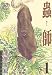 蟲師（１） (アフタヌーンコミックス)