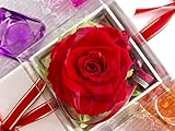 プリザーブドフラワー 枯れない 花 フラワー ギフト アレンジメント 母の日 父の日 卒業 入学 出産 お祝い プレゼント に最適 ギフト ボックス カラーバリエーション 豊富 リボン付きボックス ラ