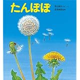 たんぽぽ (かがくのとも絵本)