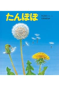 たんぽぽの秘密 | 森乃おと, ささきみえこ |本 | 通販 | Amazon