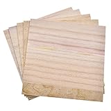 Viviseason(ビビシーズン) 2mm 木の板 超薄い板 工作材料 DIY手作り ウッド プレート 無塗装100x100mmまたは100x200mm