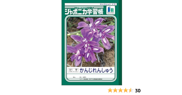 Amazon ショウワノート ジャポニカ学習帳 B5判 漢字練習 91字 5冊パック Jl 49 1 5 学習帳 練習帳 文房具 オフィス用品