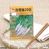 【種子】白雪姫二十日大根 [1510]