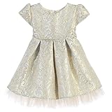 Sweetキッズベビーガールズブループリーツジャカードチュールフラワーガールドレス6 – 24 m カラー: ブルー