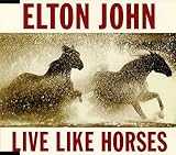 ���u�E���C�N�E�z�[�Z�Y