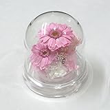 プリザーブドフラワーギフト/ガーベラドーム・ペールピンク