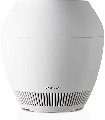バルミューダ加湿器 新品フィルター Rain 1100UA-WK 2018年製 Amazon.co.jp: バルミューダ 加湿器 気化式 レイン Wi-Fiモデル